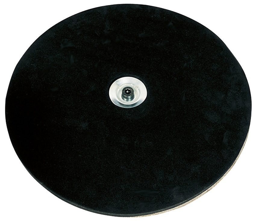 Disc holder with sponge padding