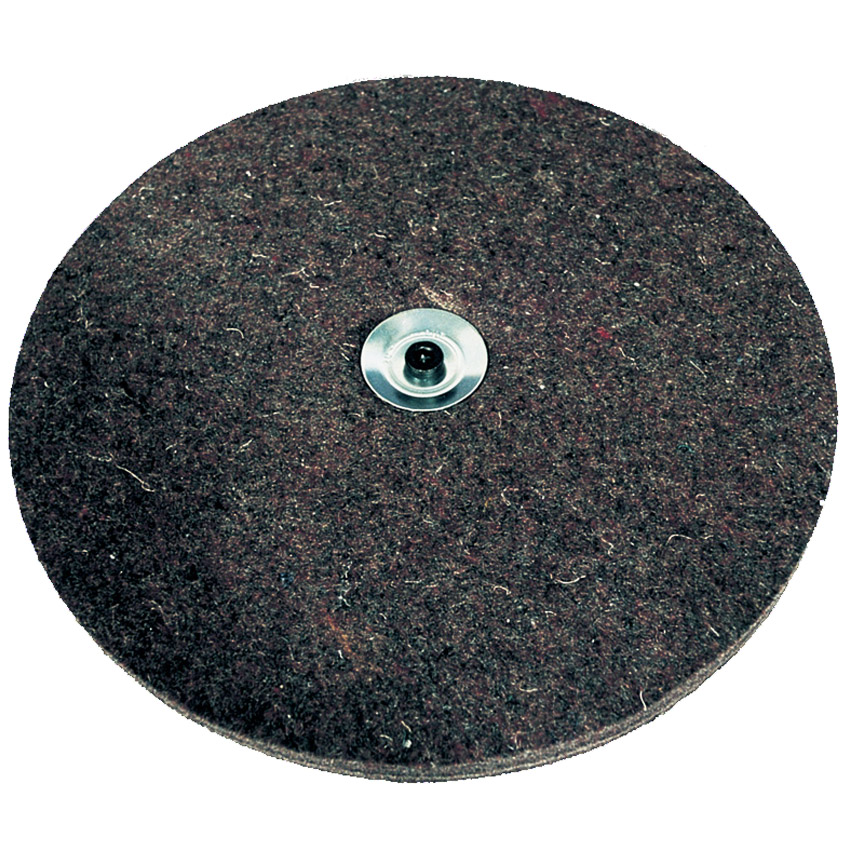 Disc holder with felt